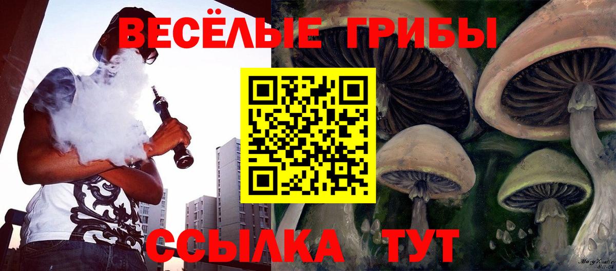 Галлюциногенные грибы Psilocybe Ялта